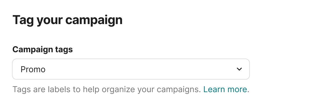 Tag your campaign — campaign tagging for organization and reporting.